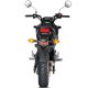 Slip-On Line Carbon Honda MSX 125 (13-15)