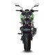 LV Pro Carbon Slip-on KAWASAKI Z 900 (17-19), Z 900 A2 (18-24)